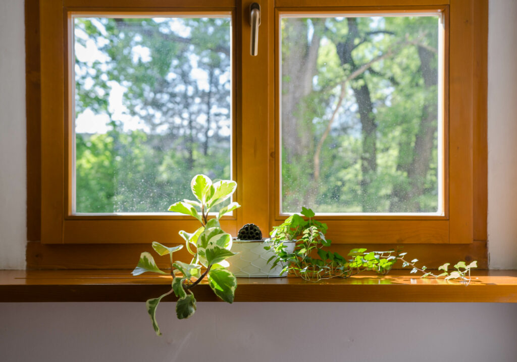 Wooden window
